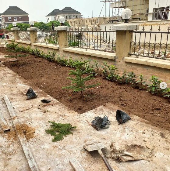 Integral Landscaping Ltd. - Pretty Fabulous Flowers Lagos