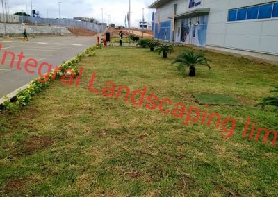Landscaping Services in Nigeria